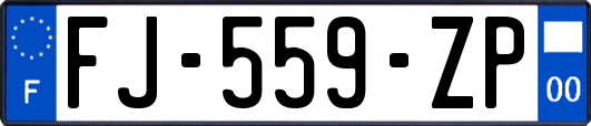 FJ-559-ZP