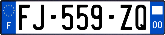 FJ-559-ZQ