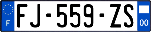 FJ-559-ZS