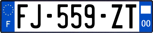 FJ-559-ZT