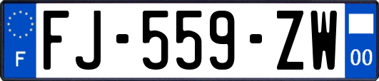 FJ-559-ZW