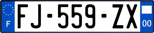 FJ-559-ZX