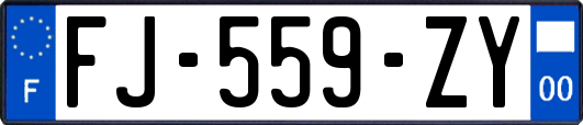 FJ-559-ZY