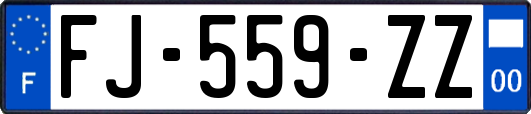 FJ-559-ZZ