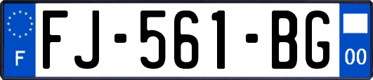 FJ-561-BG
