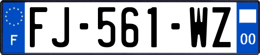 FJ-561-WZ