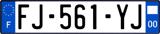 FJ-561-YJ