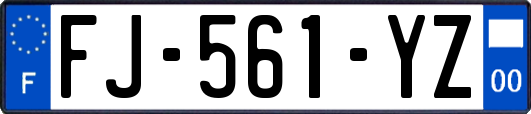 FJ-561-YZ