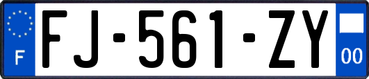 FJ-561-ZY