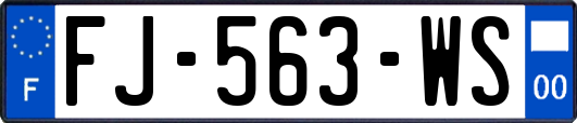 FJ-563-WS