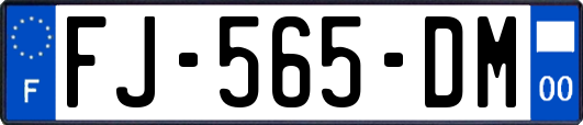 FJ-565-DM