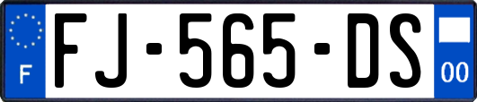 FJ-565-DS
