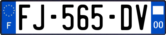 FJ-565-DV