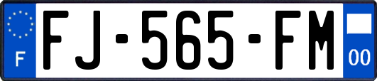 FJ-565-FM