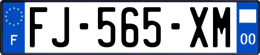 FJ-565-XM
