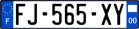 FJ-565-XY