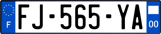 FJ-565-YA
