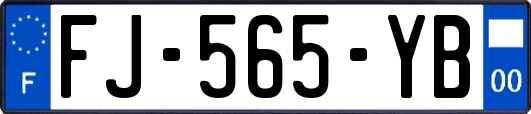 FJ-565-YB