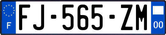 FJ-565-ZM