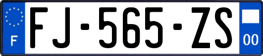 FJ-565-ZS