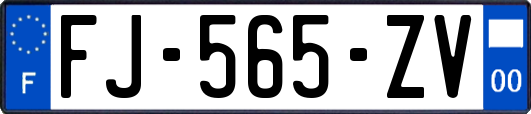 FJ-565-ZV