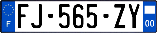 FJ-565-ZY