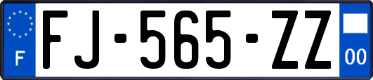 FJ-565-ZZ