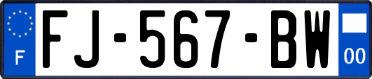 FJ-567-BW