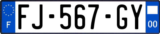 FJ-567-GY
