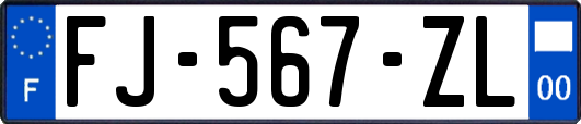 FJ-567-ZL