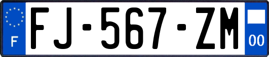 FJ-567-ZM