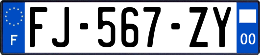 FJ-567-ZY