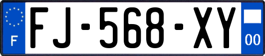 FJ-568-XY