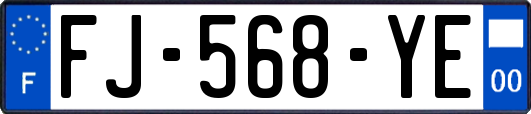 FJ-568-YE