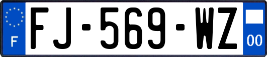 FJ-569-WZ