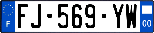 FJ-569-YW