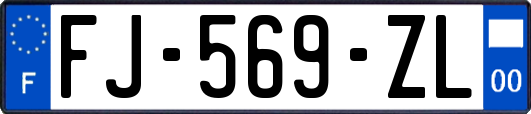 FJ-569-ZL