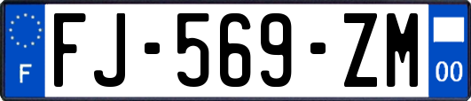 FJ-569-ZM