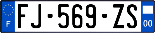 FJ-569-ZS