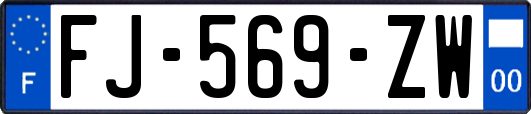 FJ-569-ZW