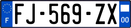 FJ-569-ZX