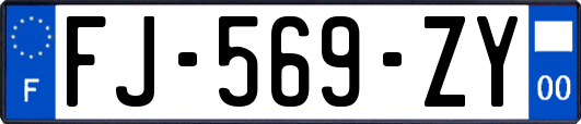 FJ-569-ZY