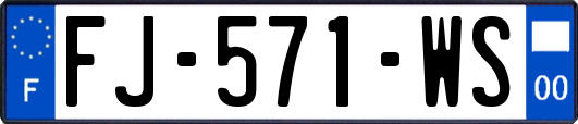 FJ-571-WS