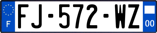 FJ-572-WZ