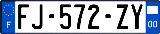 FJ-572-ZY