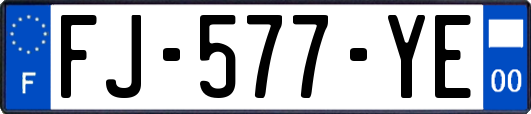 FJ-577-YE