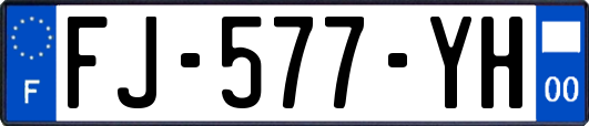 FJ-577-YH
