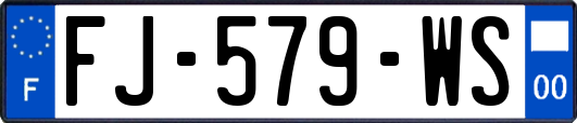 FJ-579-WS