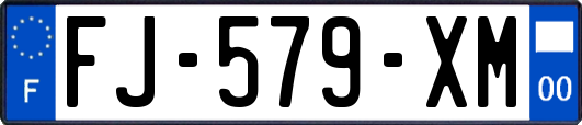 FJ-579-XM