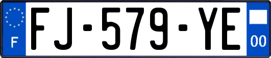 FJ-579-YE